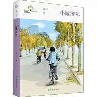 醉染图书小城流年9787537982696