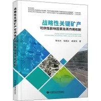 醉染图书战略关键矿产可供影响因素及其作用机制9787562552246