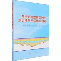 醉染图书渤海湾盆地渤中凹陷深层油气差异富集机制9787518346608