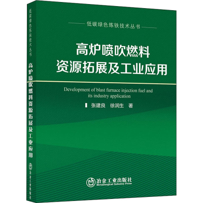 醉染图书高炉喷吹燃料资源拓展及工业应用9787502486631