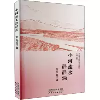 醉染图书小河流水静静淌9787201168456