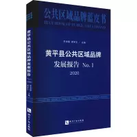 醉染图书黄平县公共区域品牌发展报告 . 20209787513073943