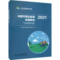 醉染图书中国可能源发展报告 20219787522608334