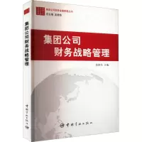 醉染图书集团公司财务战略管理9787515903033