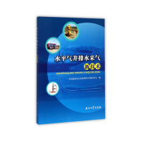 醉染图书水平气井排水采气新技术9787518321179