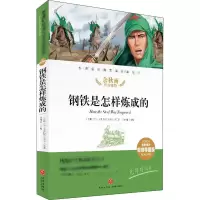 醉染图书钢铁是怎样炼成的9787545554649