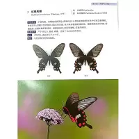 醉染图书浙江乌岩岭自然保护区蝴蝶图鉴9787308299