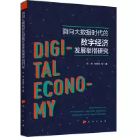 醉染图书面向大数据时代的数字经济发展举措研究9787010217796