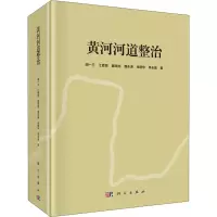 醉染图书黄河河道整治9787030627803