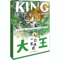 醉染图书大王 一只东北虎9787229144982