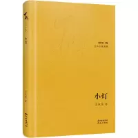 醉染图书小灯9787536090873