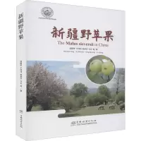 醉染图书新疆野苹果9787521905540