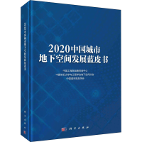 醉染图书2020中国城市地下空间发展蓝皮书9787030699053