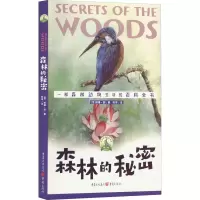 醉染图书森林的秘密9787229161668