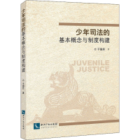 醉染图书少年司法的基本概念与制度构建9787513065252