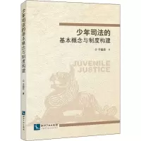 醉染图书少年司法的基本概念与制度构建9787513065252