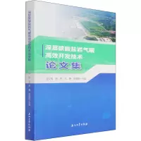 醉染图书深层碳酸盐岩气藏高效开发技术集9787518349920