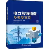 醉染图书电力营销稽查及典型案例9787519867904