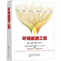 醉染图书环境能源工程978712516