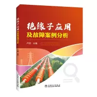 醉染图书绝缘子应用及故障案例分析9787519843496