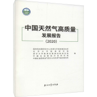 醉染图书中国天然气高质量发展报告.20209787518343003
