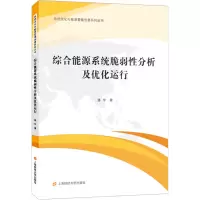醉染图书综合能源系统脆弱分析及优化运行978756443