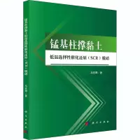 醉染图书锰基柱撑黏土低温选择催化还原(SCR)脱硝9787030618702