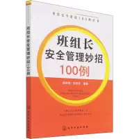 醉染图书班组长安全管理妙招100例9787122404