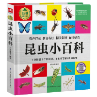 醉染图书昆虫小百科(精)/1分钟儿童小百科9787571305062