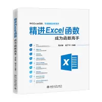 醉染图书精进Excel函数:成为函数高手9787301316634