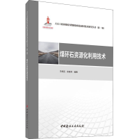 醉染图书煤矸石资源化利用技术9787516030264