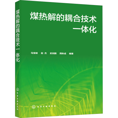 醉染图书煤热解的耦合技术一体化9787121538