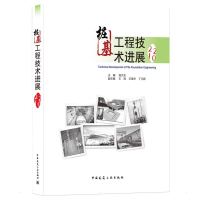 醉染图书桩基工程技术进展20219787112267354