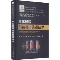 醉染图书焦化过程节能减排技术9787502486754