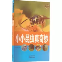 醉染图书小小昆虫真奇妙9787553315454