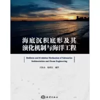 醉染图书海底沉积底形及其演化机制与海洋工程9787521008944