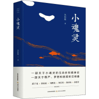 醉染图书小魂灵9787537862424