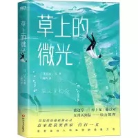 醉染图书草上的微光9787541157073