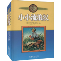 醉染图书小小流浪汉 美绘版9787514807677