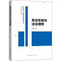 醉染图书实施与法治理想9787208175990