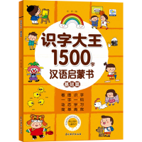 醉染图书识字大王 基础篇9787549848867