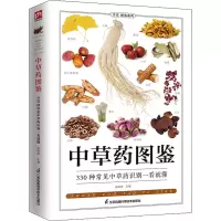 醉染图书草图鉴9787553757520