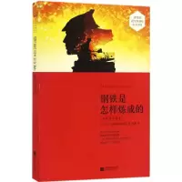 醉染图书钢铁是怎样炼成的9787539998329