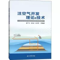 醉染图书注空气开发理论与技术9787518340767