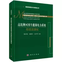 醉染图书高比例可能源电力系统形态及演化9787030686312