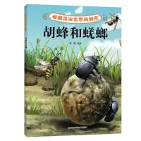 醉染图书破解昆虫世界的秘密——胡蜂和蜣螂9787557885458