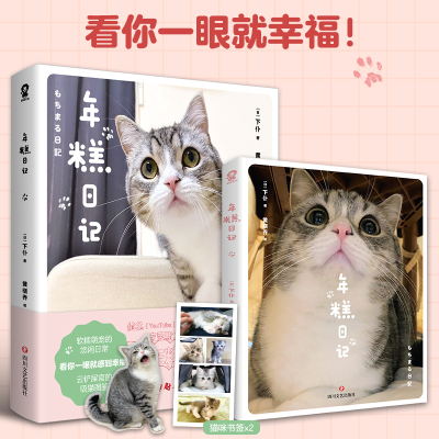 醉染图书年糕日记9787541163531