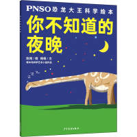 醉染图书你不知道的夜晚9787558907111