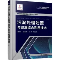醉染图书污泥处理处置与资源综合利用技术9787120807