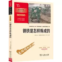 醉染图书钢铁是怎样炼成的9787100190404